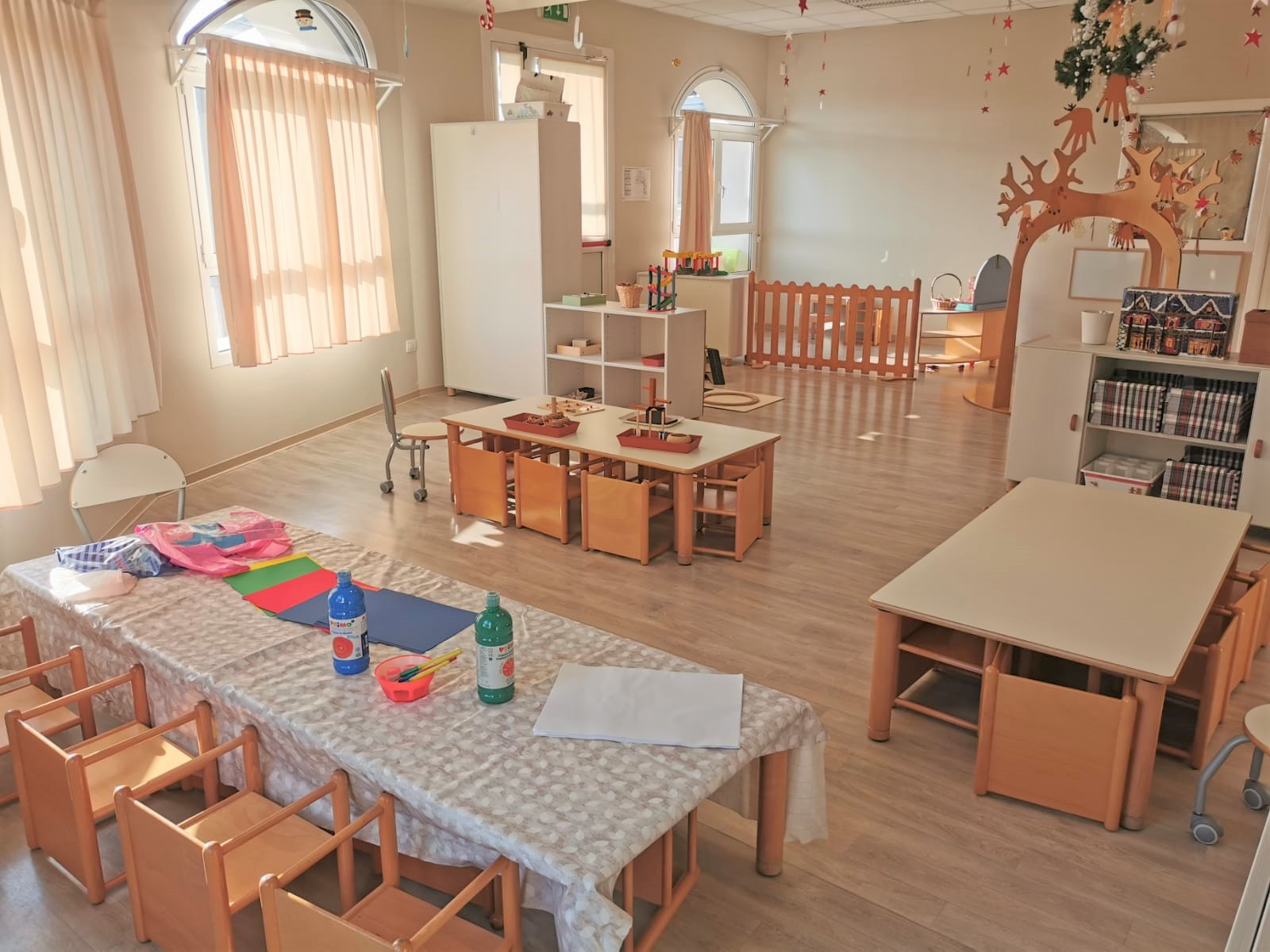 La sezione: descrizione e foto