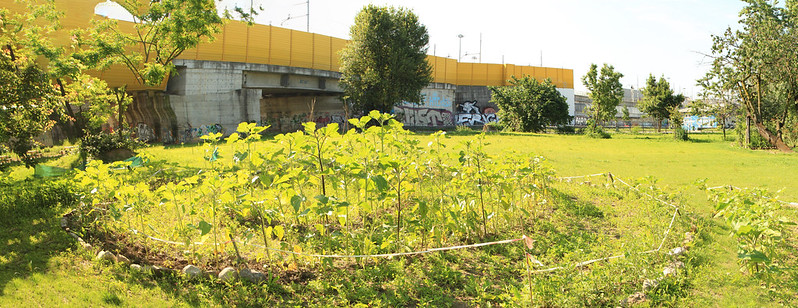 Giardino condiviso Bing